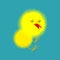 Chick isolated. Small Chicken. little farm yellow bird