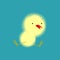 Chick . Small Chicken. little farm yellow bird