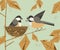 Chickadee bird couple