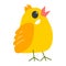 Chicken animal, cute chick personage avian bird