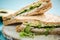 Chicken and avocado wholegrain bread sandwich