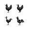 Chicken breeds black glyph icons set on white space