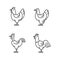Chicken breeds linear icons set