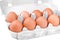 Chicken brown eggs in the egg tray. Isolated