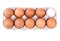 Chicken brown eggs in the egg tray. Isolated