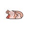 Chicken carcass color line icon. Cutting meat.
