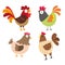 Chicken character vector design