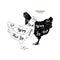 Chicken cuts. Diagrams for butcher shop. Scheme of chicken. Vector illustration.