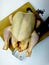 Chicken, cutting board and steel knife on white background