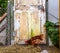 Chicken at the door