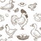 Chicken and ducks sketch pattern background. Vector seamless