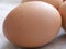 Chicken egg, closeup. Dark beige shell of a chicken egg, close-up
