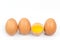 Chicken egg is half broken among other eggs.