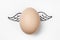 Chicken egg with painted wings on white background