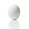 Chicken egg on reflection surface, white background