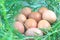 Chicken eggs bamboo leaves