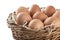 Chicken eggs in a basket .A useful product is a lot of calcium and protein