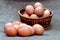 Chicken eggs of brown color in cardboard cells