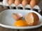 Chicken eggs cracked in white dish. The dish is placed on a wooden table. Front of many eggs