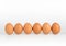 Chicken eggs evenly arranged on white background