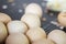 Chicken eggs in an incubator, waiting for the Chicks to hatch.Shallow depth of field, selective focus