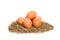 Chicken eggs in a nest on white background