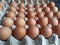 chicken eggs placed on the egg tray