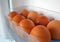 Chicken eggs in refrigerator