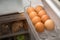 Chicken eggs on the refrigerator shelf