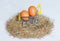 Chicken eggs in a small push cart in a hay nest