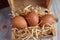 chicken eggs in the straw nest seen from above animal husbandry