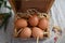 chicken eggs in the straw nest seen from above animal husbandry