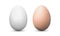 Chicken eggs white and brown mockups isolated