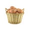 Chicken eggs in wicker basket isolated