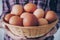 Chicken eggs. Young woman farmer holding basket with fresh chicken eggs