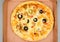 Chicken Fajita Pizza isolated on wooden background, spiced chicken cubes and cheese combination on bread, Italian food top view