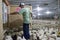 A chicken farmer