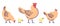 Chicken flat vector illustration. Isolated orange rooster, hens and yellow cute chicks. Hennery, poultry farm, bird
