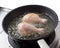 Chicken frying in a pan.