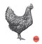 Chicken hand drawn illustration. Chicken meat and eggs vintage produce elements.