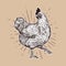 Chicken hand drawn illustration. Chicken meat and eggs vintage produce elements. Badges and design elements for the chicken