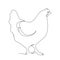 Chicken, hen bird. Poultry, broiler, farm animal feeding. Vintage Easter card. Egg packaging design. Realistic sketch