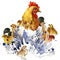 Chicken hen and chickens T-shirt graphics, chicken family illustration with splash watercolor textured background. illustration wa