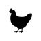 Chicken, hen silhouette. Bird element illustration in simple flat style isolated on white background