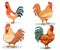 Chicken Illustration set, Cartoon domestic chicken. Funny different roosters and mother hens various breed with small chicks