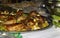 Chicken Kabsa - Mandi