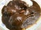 Chicken Legs and White Rice in Rich Brown Mole Sauce