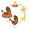 Chicken life cycle. Hatching and growing process of chicken.