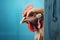 A chicken looks from the corner on a blue background, Generative AI 2