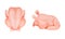 Chicken Meat Part with Whole Round or Carcass as Farm Product Vector Set